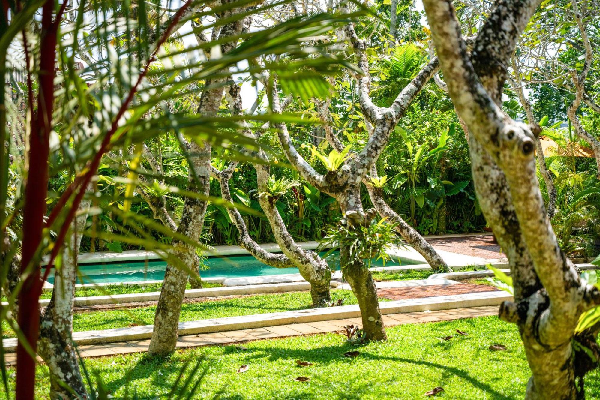The Sun House Galle Exterior foto